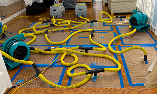 Professional Crawl Space Water Removal technician working in Purmela, TX